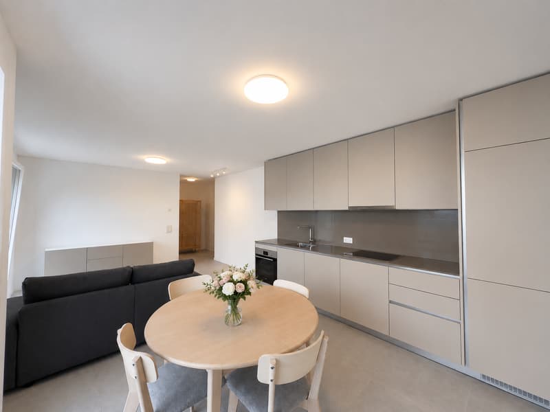 Wohnung mit Möbeln zur Miete in Mendrisio (2)