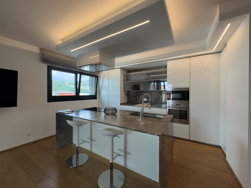 Geräumiges Dachgeschoss mit Dachterrasse in Pregassona (2)