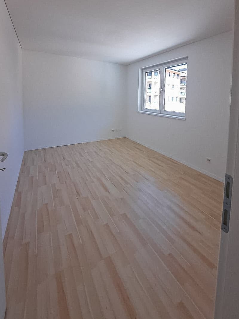 4.5 rooms apartment on the top floor in Rivera (7)