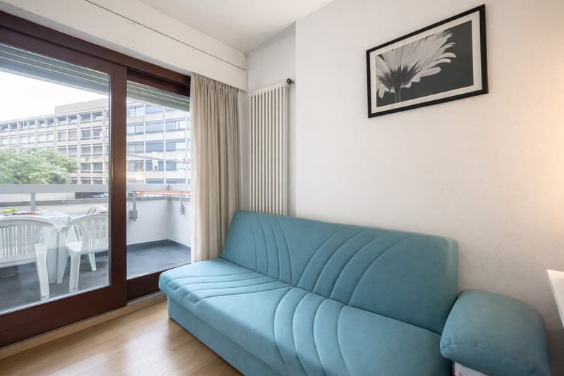 2.5 room apartment in Lugano near the station (1)