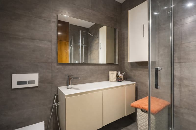 2.5 room apartment in Lugano near the station (4)