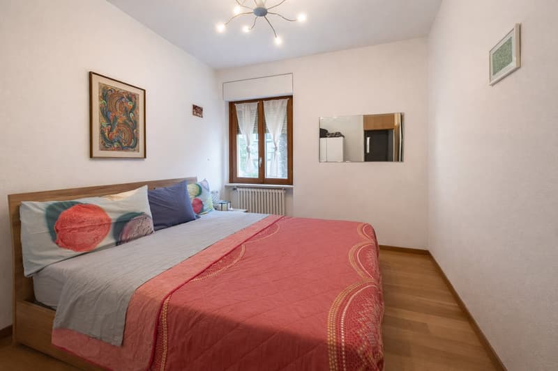 2.5 room apartment in Lugano near the station (3)
