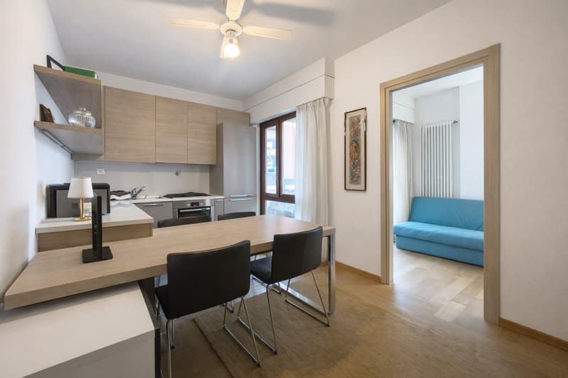2.5 room apartment in Lugano near the station (2)