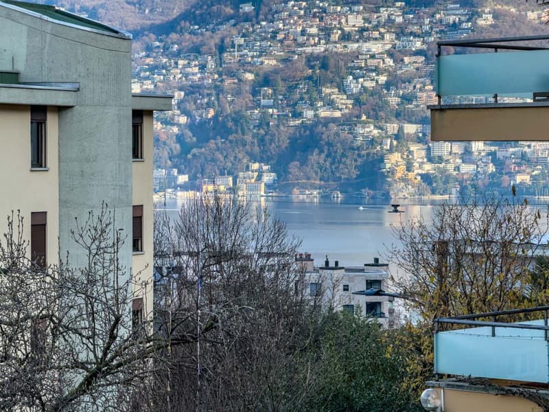 Appartement 4.5 pièces avec vue sur le lac à Paradiso (7)