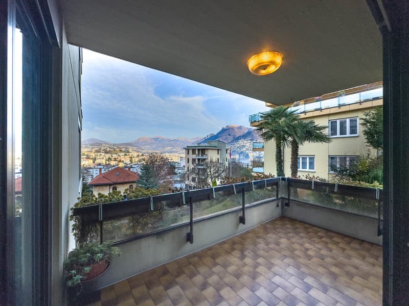 Appartement 4.5 pièces avec vue sur le lac à Paradiso (6)
