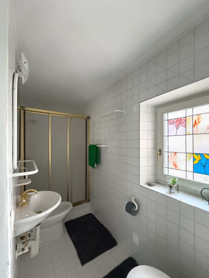 2,5 Zimmerwohnung eingerichtet in Aldesago, ideal auch für Nicht-Einheimische (7)