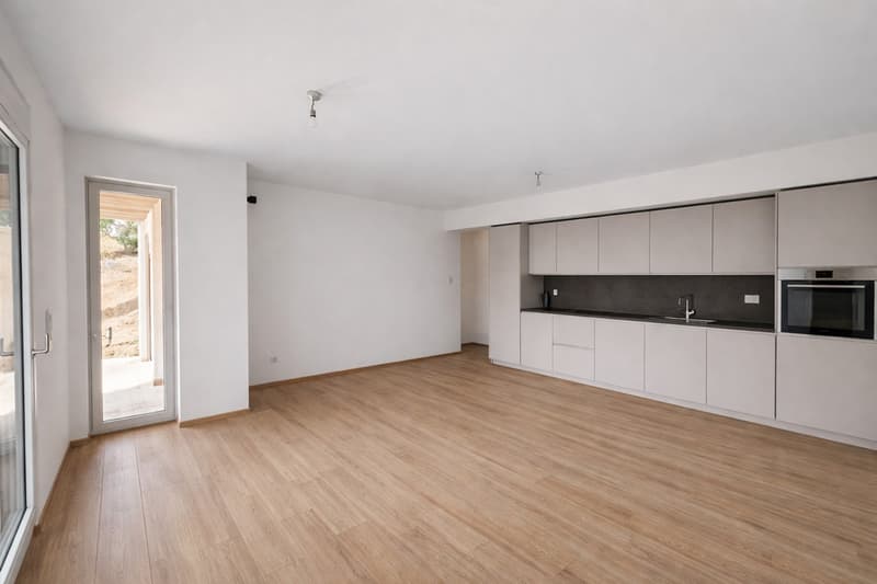 Neue 3.5-Zimmer-Wohnung mit Seeblick und Garten in Massagno (1)