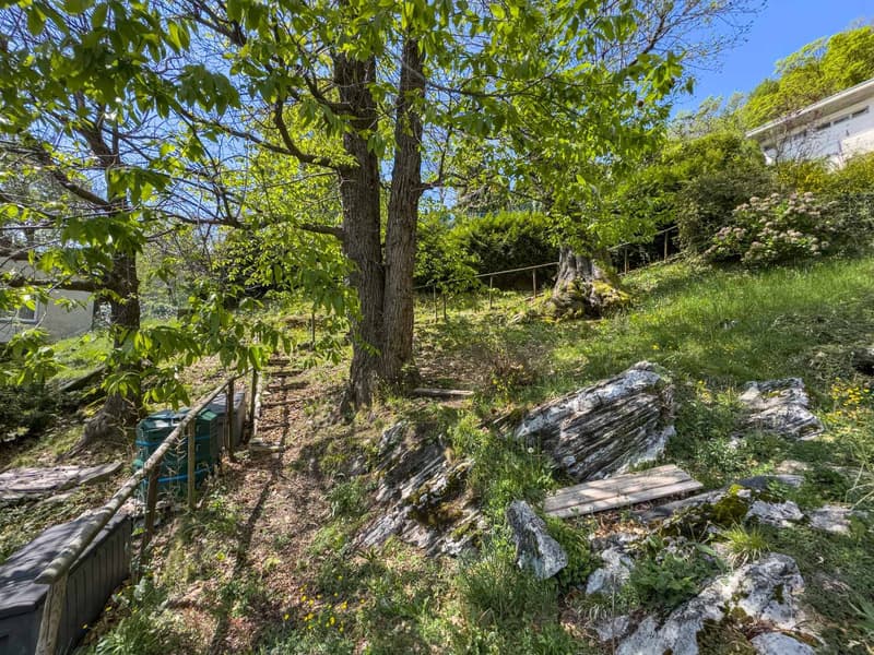 Haus mit großem Garten in der grünen Umgebung von Sagno (10)