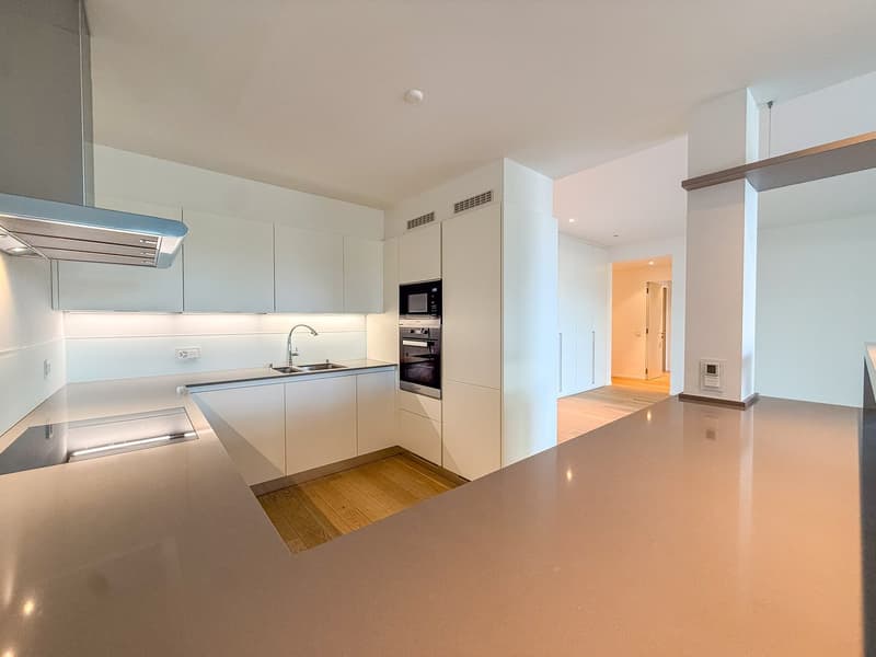 Prächtige 4.5 Zimmer Luxuswohnung mit Seeblick in Paradiso (3)