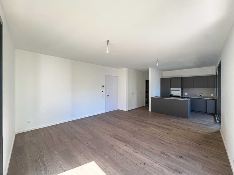 Modernes Apartment in neuer Bauweise in Canobbio (2)
