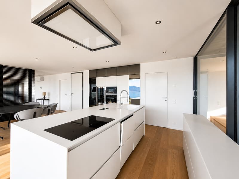 Modern attic with lake view in Locarno (3)