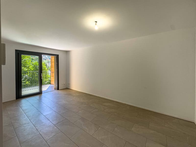 2,5 Zimmer in neuer Bauweise in Vacallo (1)