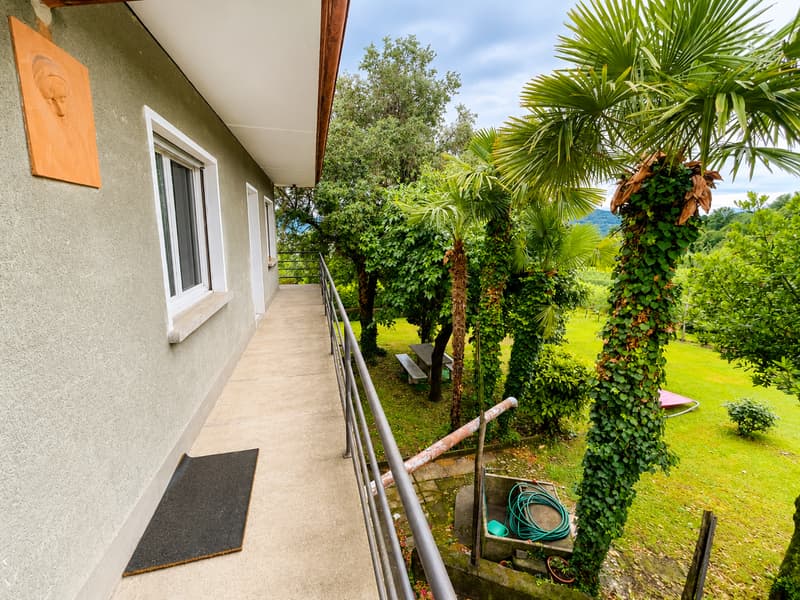 Wohnung zur Miete in Novazzano mit Blick auf die Weinberge (3)