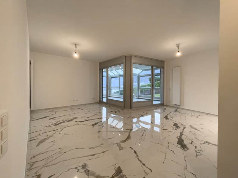 Wohnung 4.5 Zimmer komplett renoviert in Lugano (3)