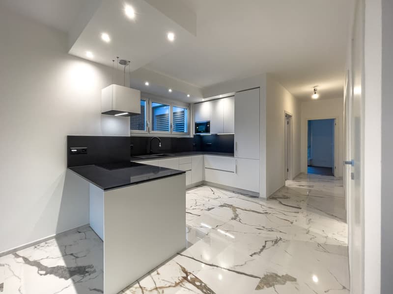 Wohnung 4.5 Zimmer komplett renoviert in Lugano (5)