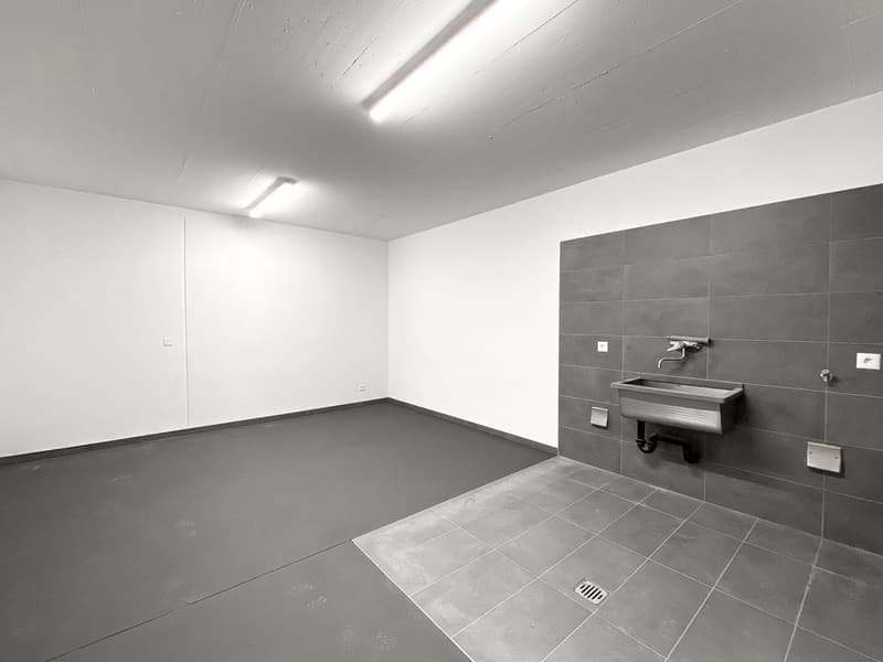 Modernes 3.5-Zimmer-Wohnung in erster Lage in Comano (5)