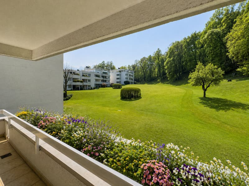 Geräumige Wohnung mit Seeblick in Carona (8)