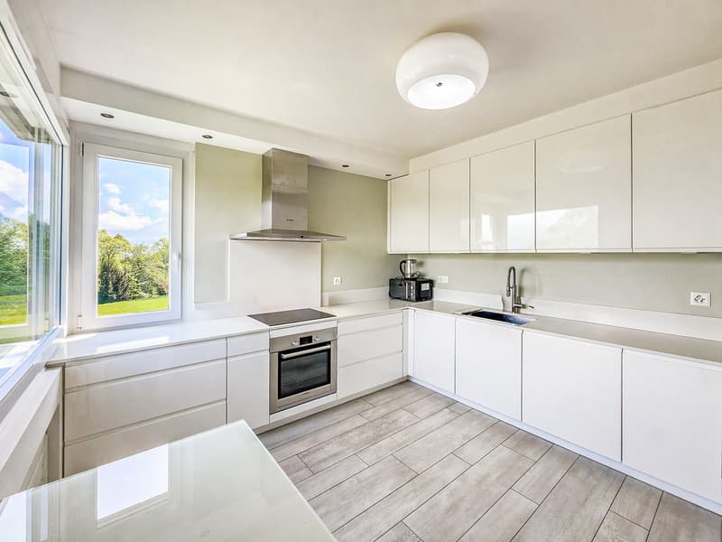 Geräumige Wohnung mit Seeblick in Carona (2)