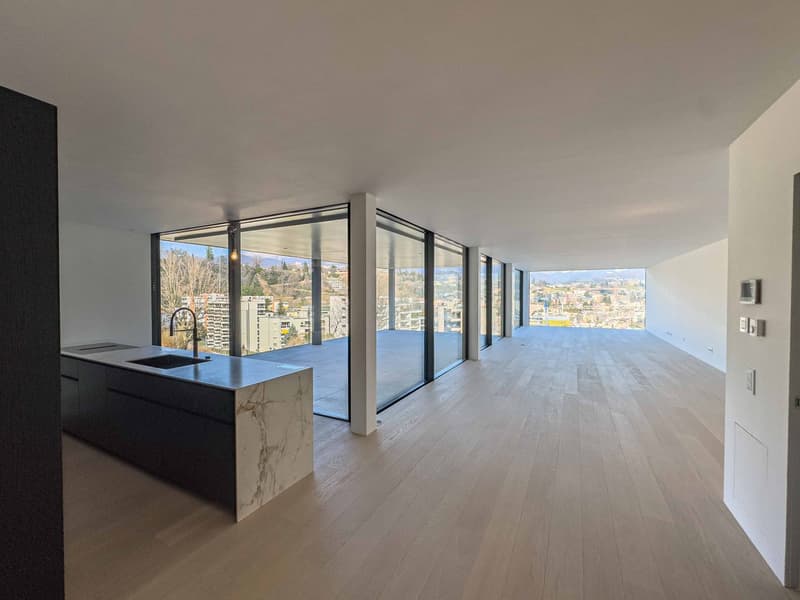 Attico di lusso vista lago a Paradiso (1)