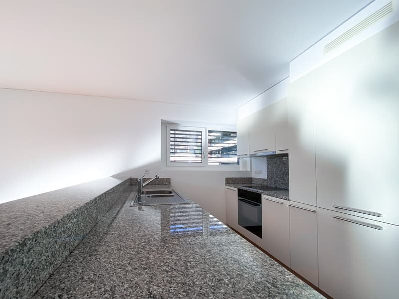 Ampio 3.5 locali con terrazzo ad Agno (5)
