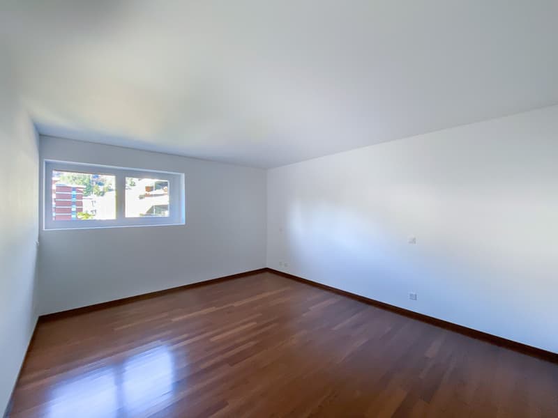 Ampio 3.5 locali con terrazzo ad Agno (4)