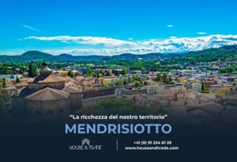 Nuovo 3.5 locali da reddito a Genestrerio (12)