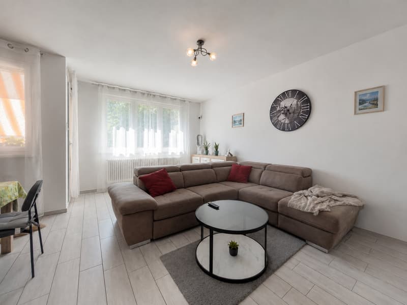 Appartamento 4.5 locali con terrazzo a Ligornetto (1)