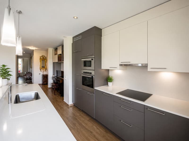 Ampio 5.5 locali con giardino a Mendrisio (2)