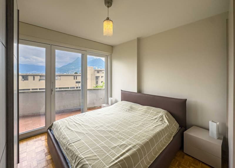 Appartamento 3.5 locali con giardino a Paradiso (5)