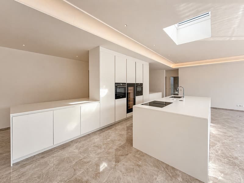 Attico di lusso 4.5 locali vista lago a Bissone (2)