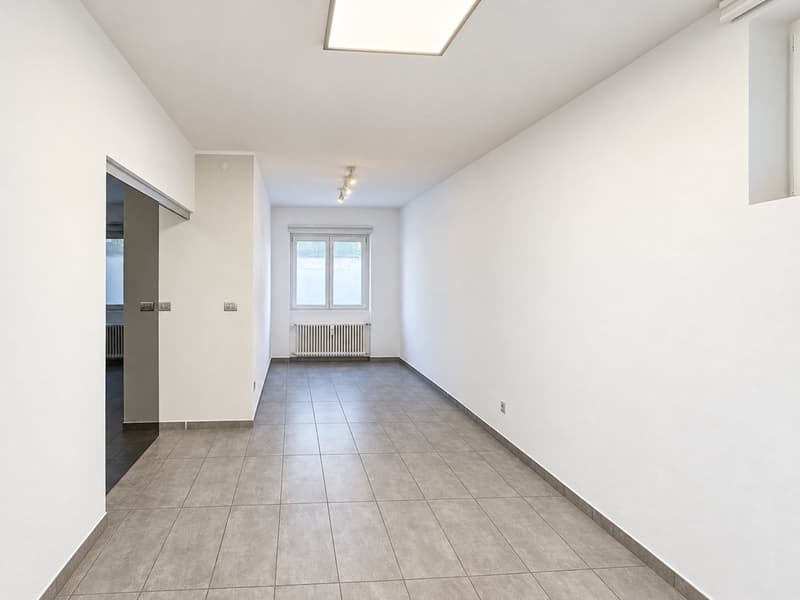 Appartamento 3.5 locali con giardino a Carona (5)