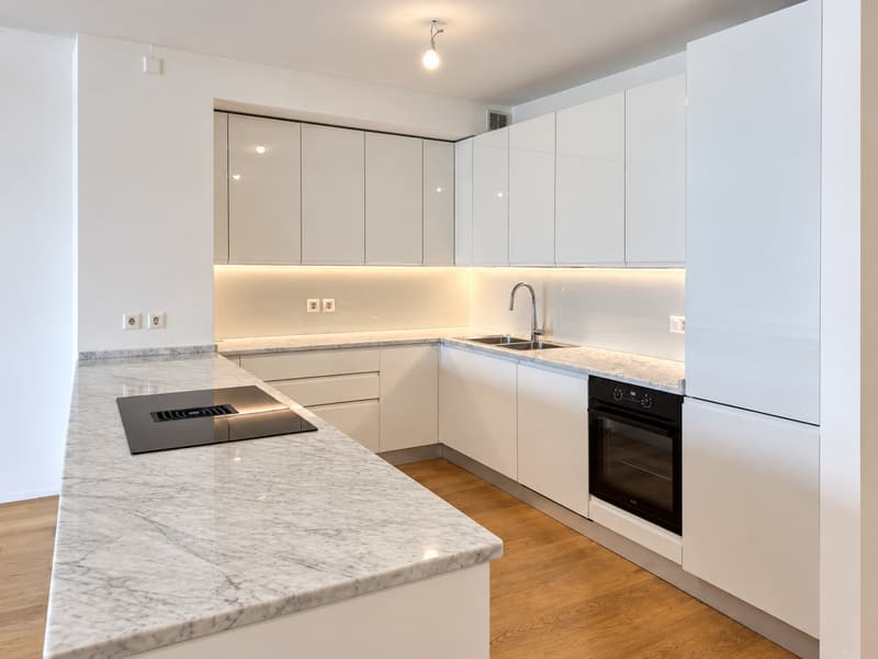 Appartamento 3.5 locali vista lago a Paradiso (3)