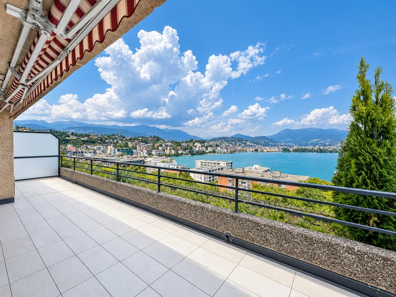 Appartamento 3.5 locali vista lago a Paradiso (9)