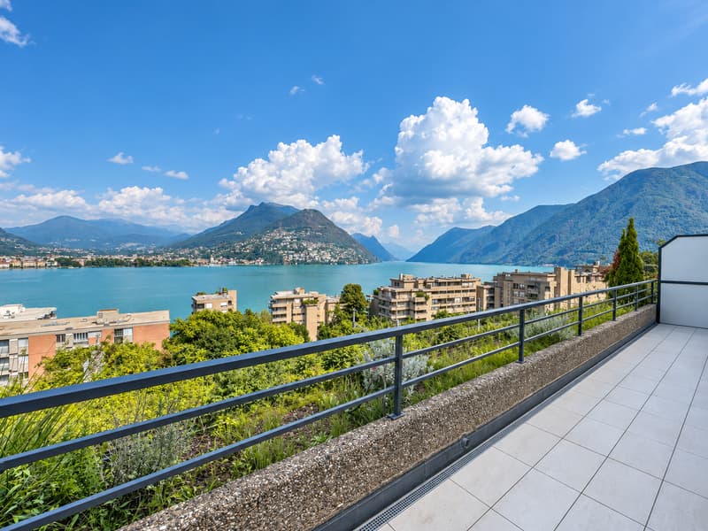 Appartamento 3.5 locali vista lago a Paradiso (1)