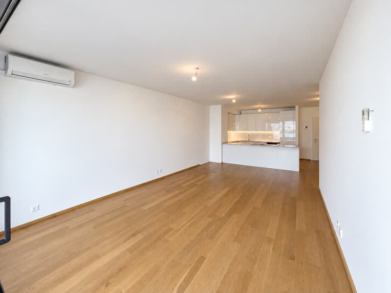 Appartamento 3.5 locali vista lago a Paradiso (4)
