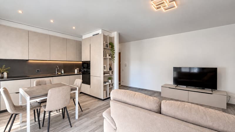 Appartamento 2.5 locali a Mendrisio (1)