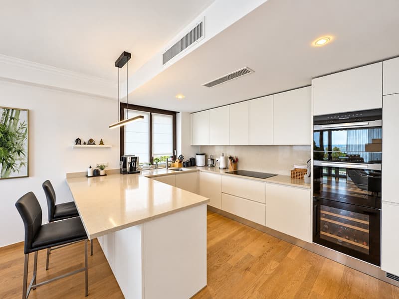 Ampio appartamento 4.5 locali vista lago a Paradiso (3)