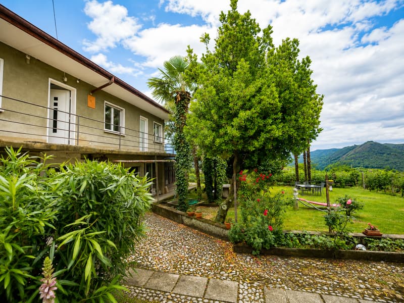 Appartamento in affitto a Novazzano con vista sui vigneti (1)