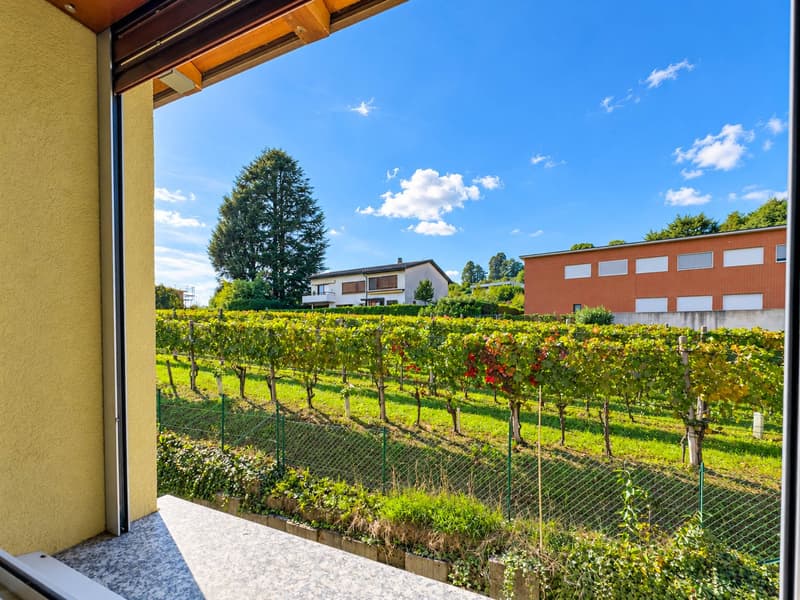 Casa con giardino a Rancate (13)