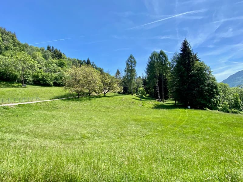 Casa unifamiliare accogliente in una posizione montana tranquilla immersa nella natura (22)