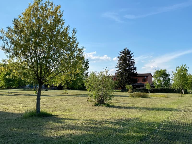 Maison de campagne très bien entretenue dans un emplacement calme et ensoleillé au sud avec un grand terrain (23)