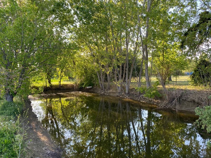 Maison de campagne très bien entretenue dans un emplacement calme et ensoleillé au sud avec un grand terrain (24)