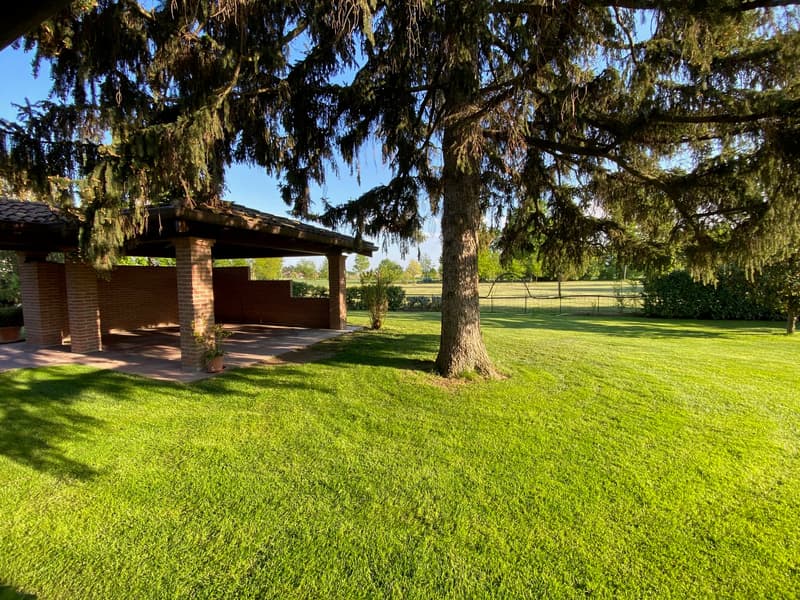 Maison de campagne très bien entretenue dans un emplacement calme et ensoleillé au sud avec un grand terrain (19)