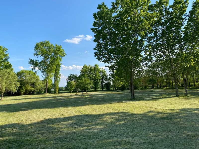 Maison de campagne très bien entretenue dans un emplacement calme et ensoleillé au sud avec un grand terrain (21)