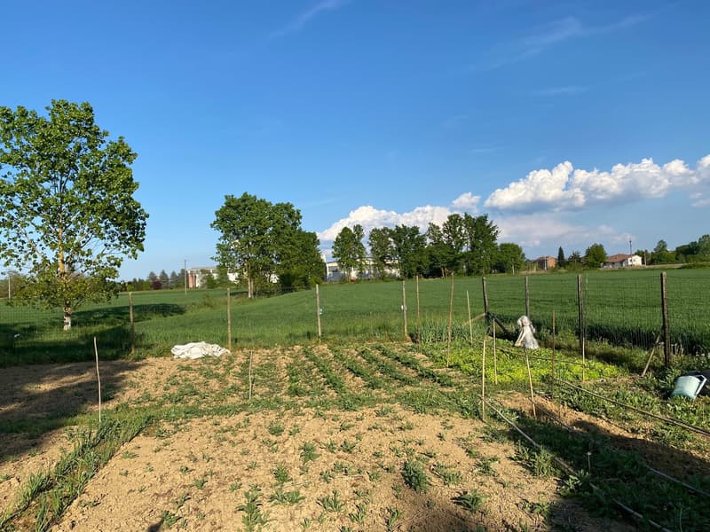 Maison de campagne très bien entretenue dans un emplacement calme et ensoleillé au sud avec un grand terrain (22)