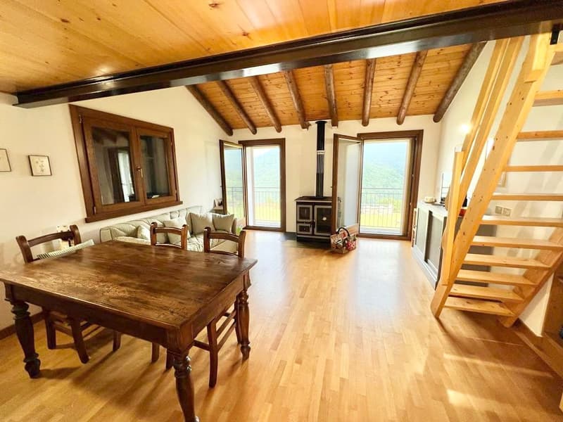 3 rustici ristrutturati in una posizione tranquilla e soleggiata con vista mozzafiato sul Lago Maggiore (12)