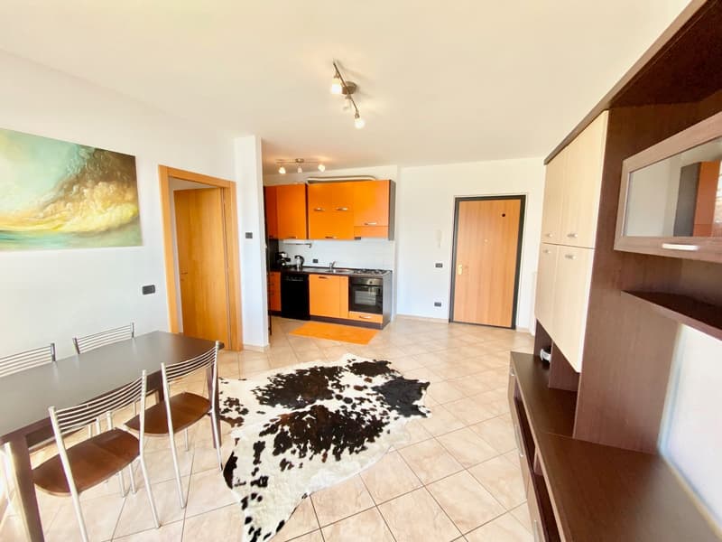 dining room with table, chairs, cabinet, shelf, kitchen, rug