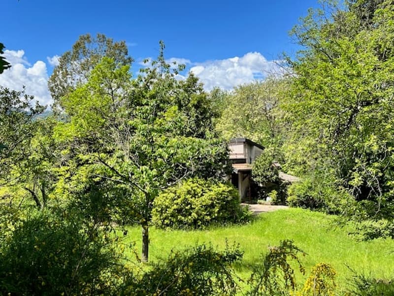 Rustico in posizione tranquilla e molto soleggiata con grande terreno e vista lago (19)