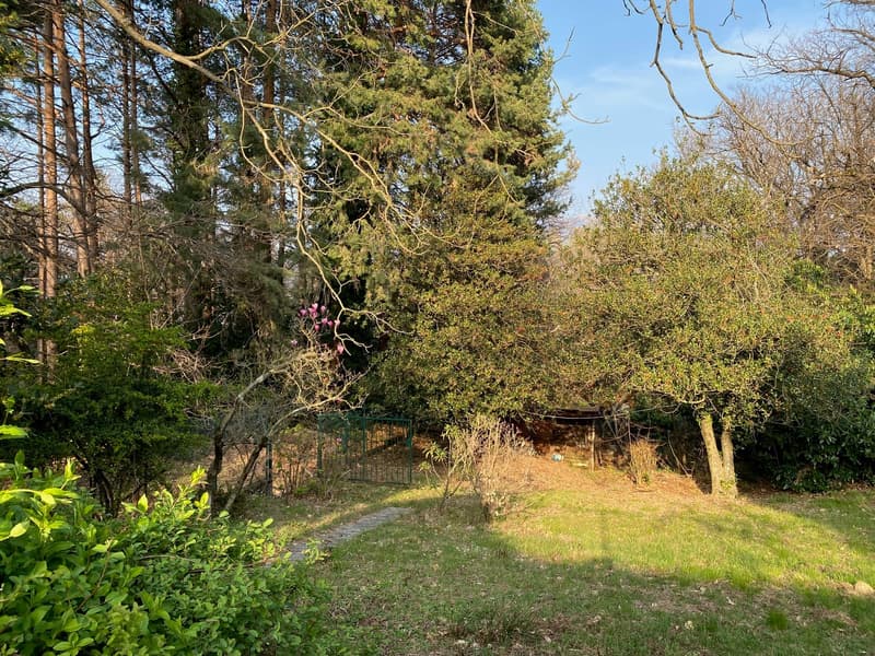 Rustico in posizione tranquilla e molto soleggiata con grande terreno e vista lago (16)