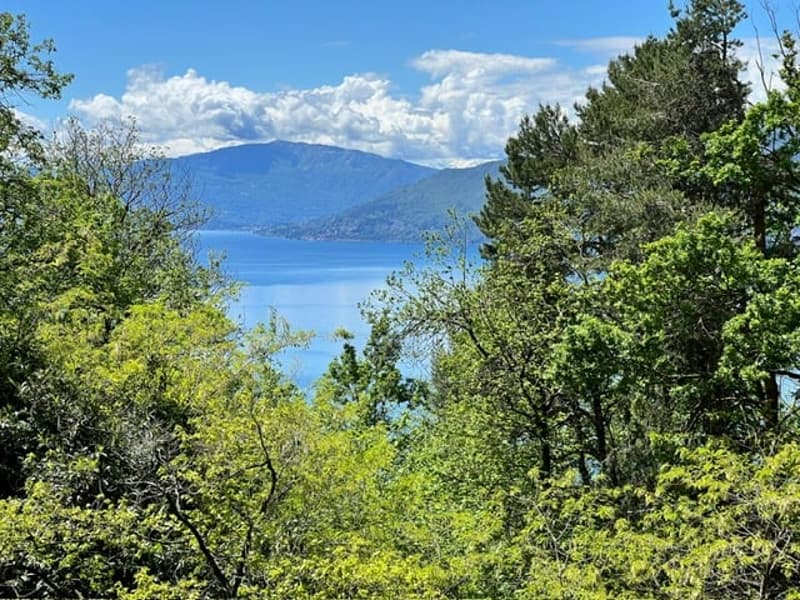 Rustico in posizione tranquilla e molto soleggiata con grande terreno e vista lago (20)